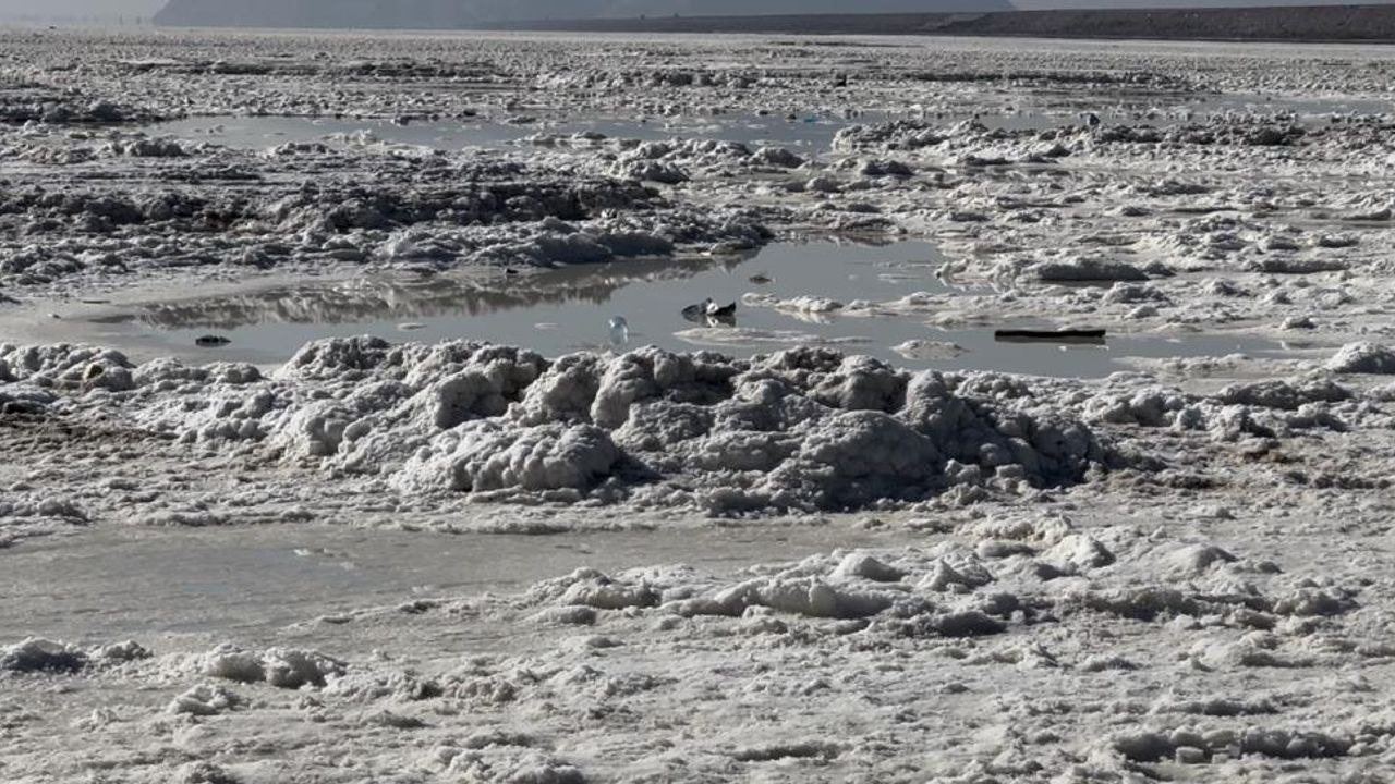 Küresel ısınmadan dolayı kurumaya yüz tutan Urmiye Gölü'nde yürüdüler