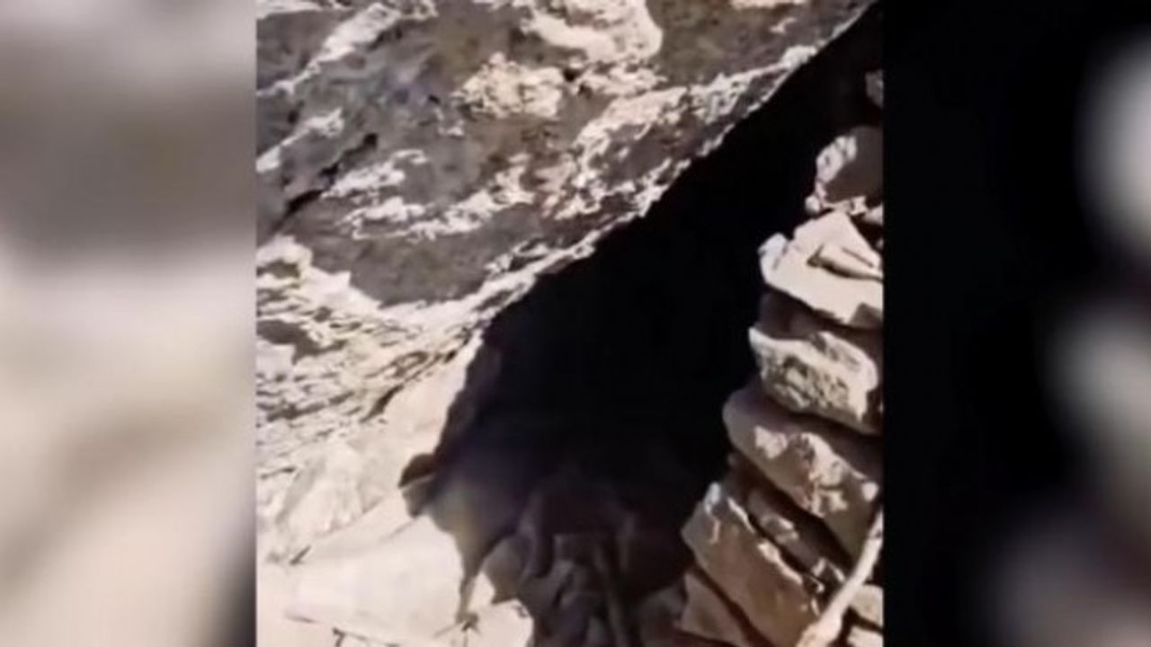Teröristlerin kullandığı mağara ele geçirildi