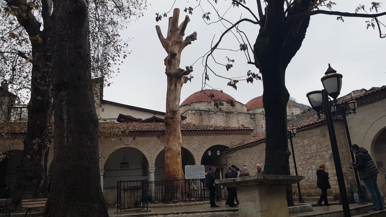 Kurumaya yüz tutmuş 350 yıllık ağacı heykele dönüştürdüler