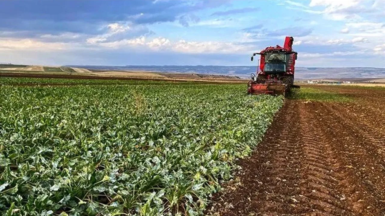 AB'den çiftçiler için yeni adım: Ukrayna'dan ithalat sınırlandılıyor