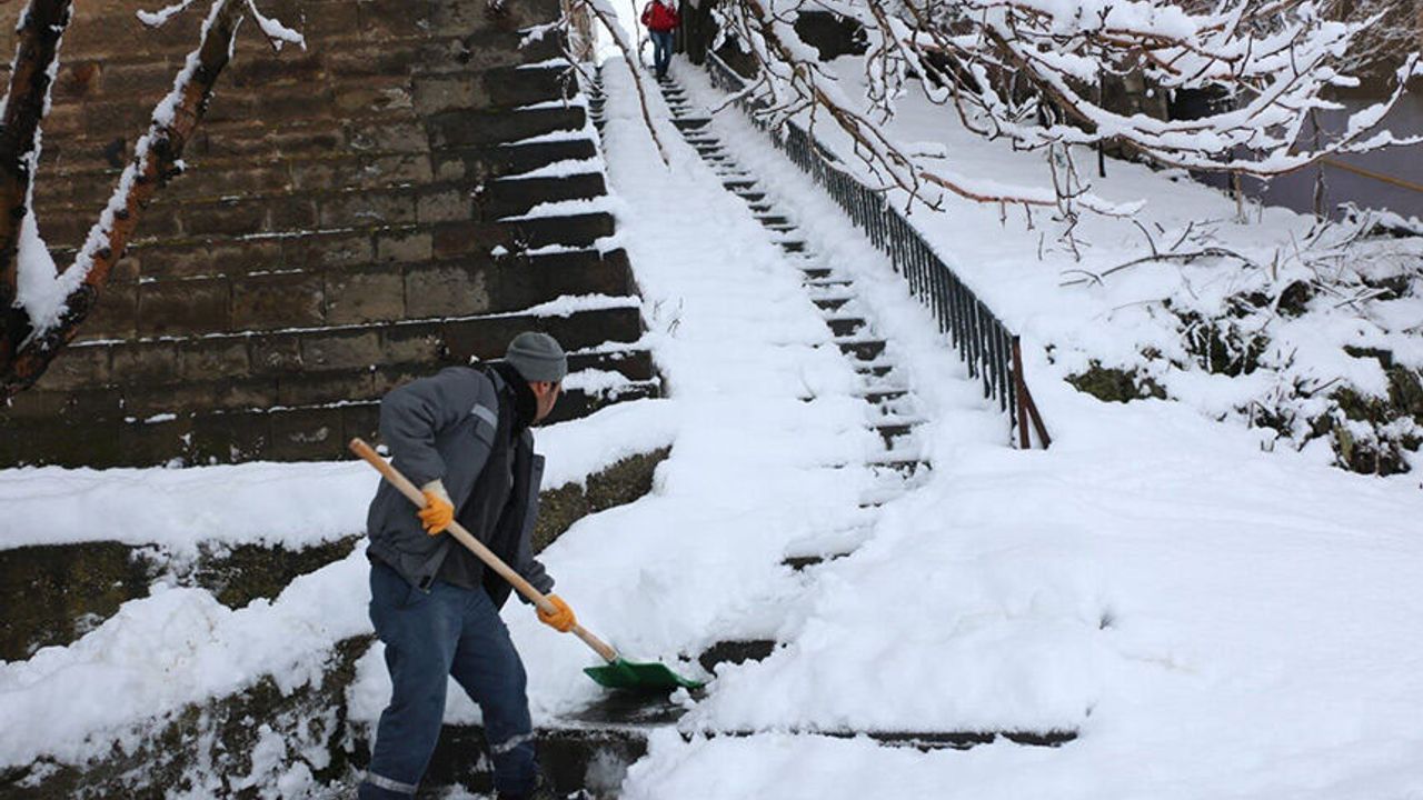 Bitlis’te topyekun kar seferberliği