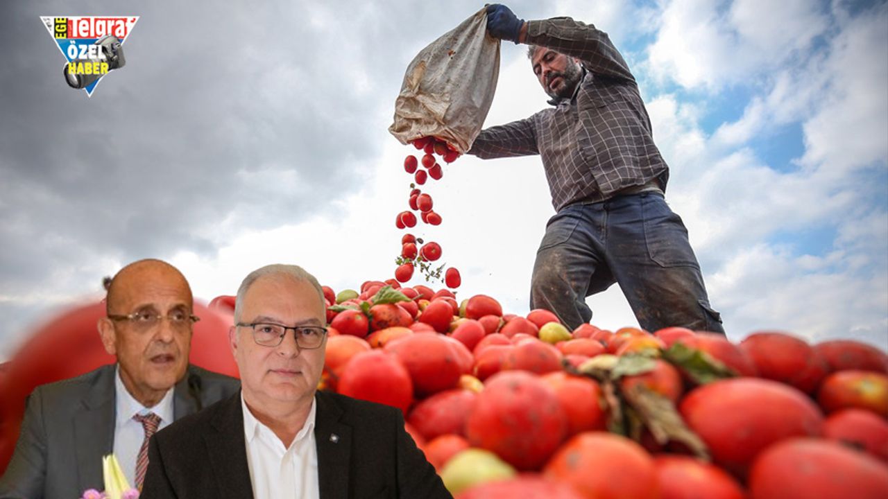 ‘Kooperatifçilikte de çiftçi organize olmalı’