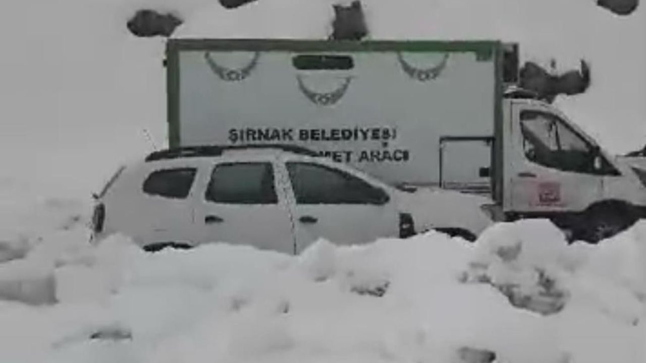 Şırnak-Hakkari yolu ulaşıma kapandı