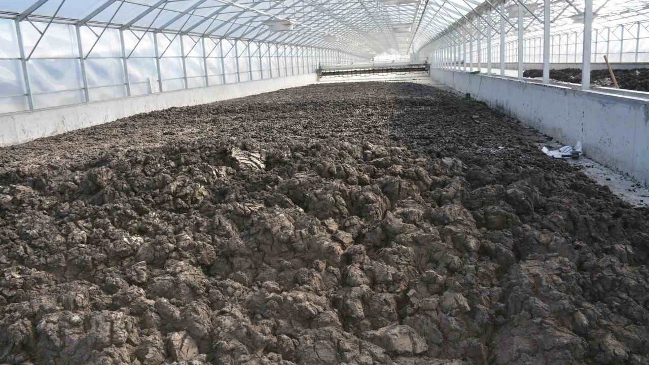 Manisa’da 35 bin ton arıtma çamuru bertaraf edildi