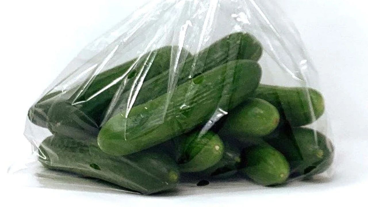 Salatalıkları haftalarca taze tutmanın sırrı buymuş! Bu yönt