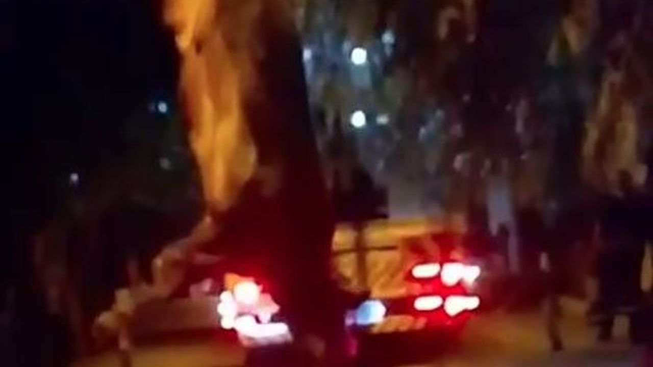 Bayraklı’da kurbanlık dana dereye düştü!