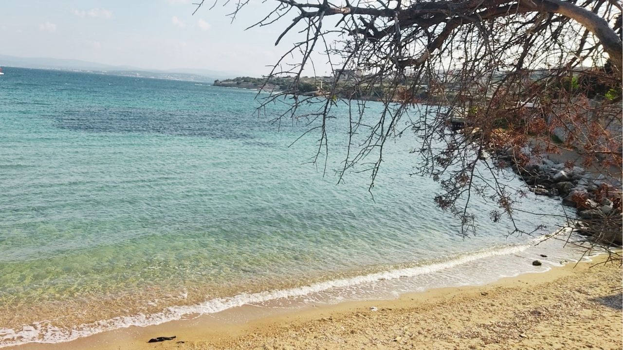 Çeşme'deki ücretsiz ve Mavi Bayraklı plajlar belli oldu! İşte 2026 Mavi Bayraklı plajların tam listesi