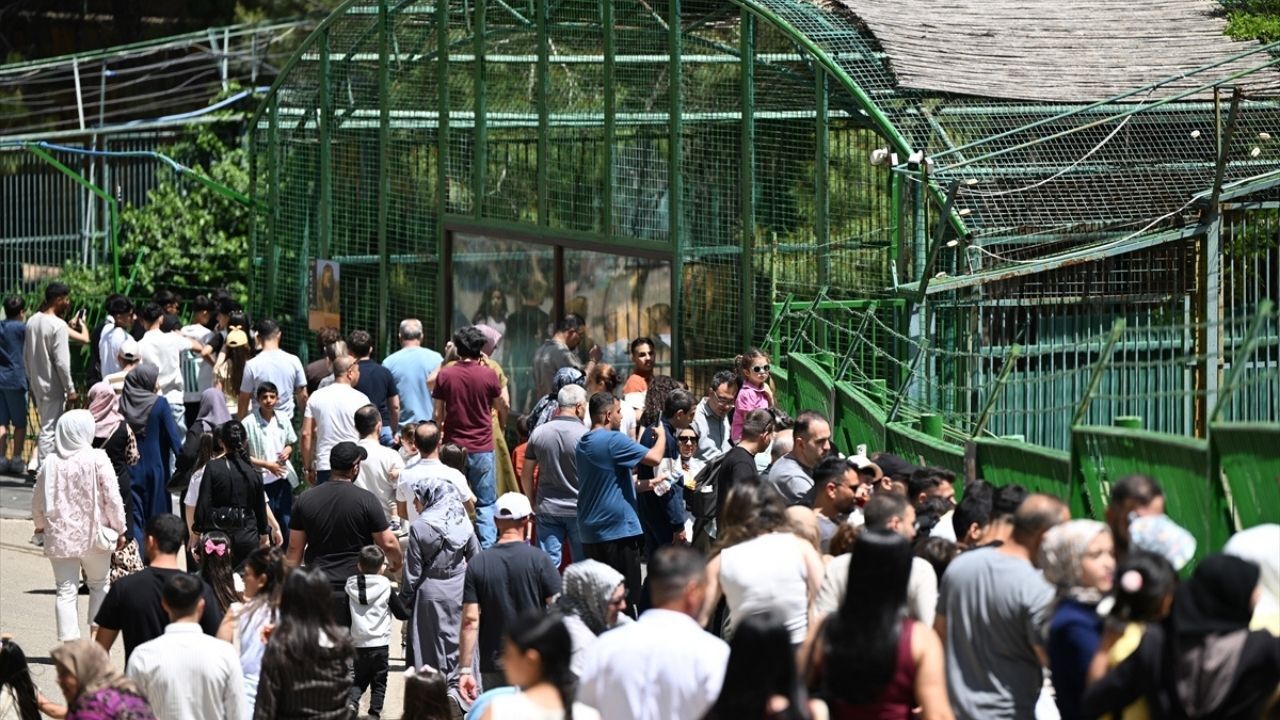 100 bin kişi hedefleniyor: Bayramın gözdesi Gaziantep Hayvanat Bahçesi'nde yoğunluk