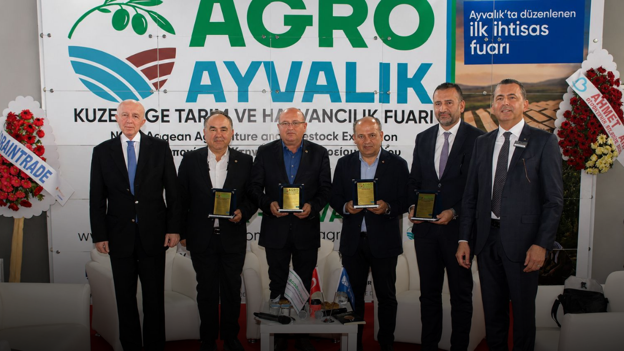 Kuzey Ege zeytinyağında küresel marka atağı