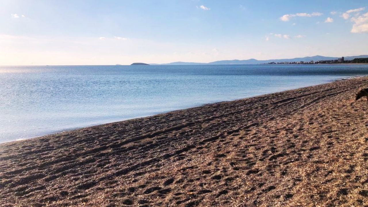 Menderes'teki ücretsiz ve Mavi Bayraklı plajlar belli oldu! İşte 2026 Mavi Bayraklı listesine giren 11 plaj