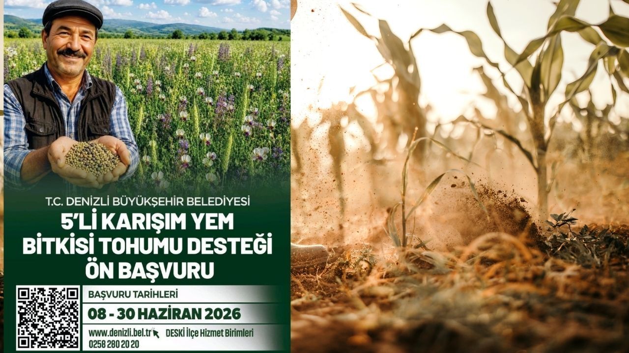 Çiftçilere 5 türlü yem bitkisi tohumu desteği! Başvurular ba