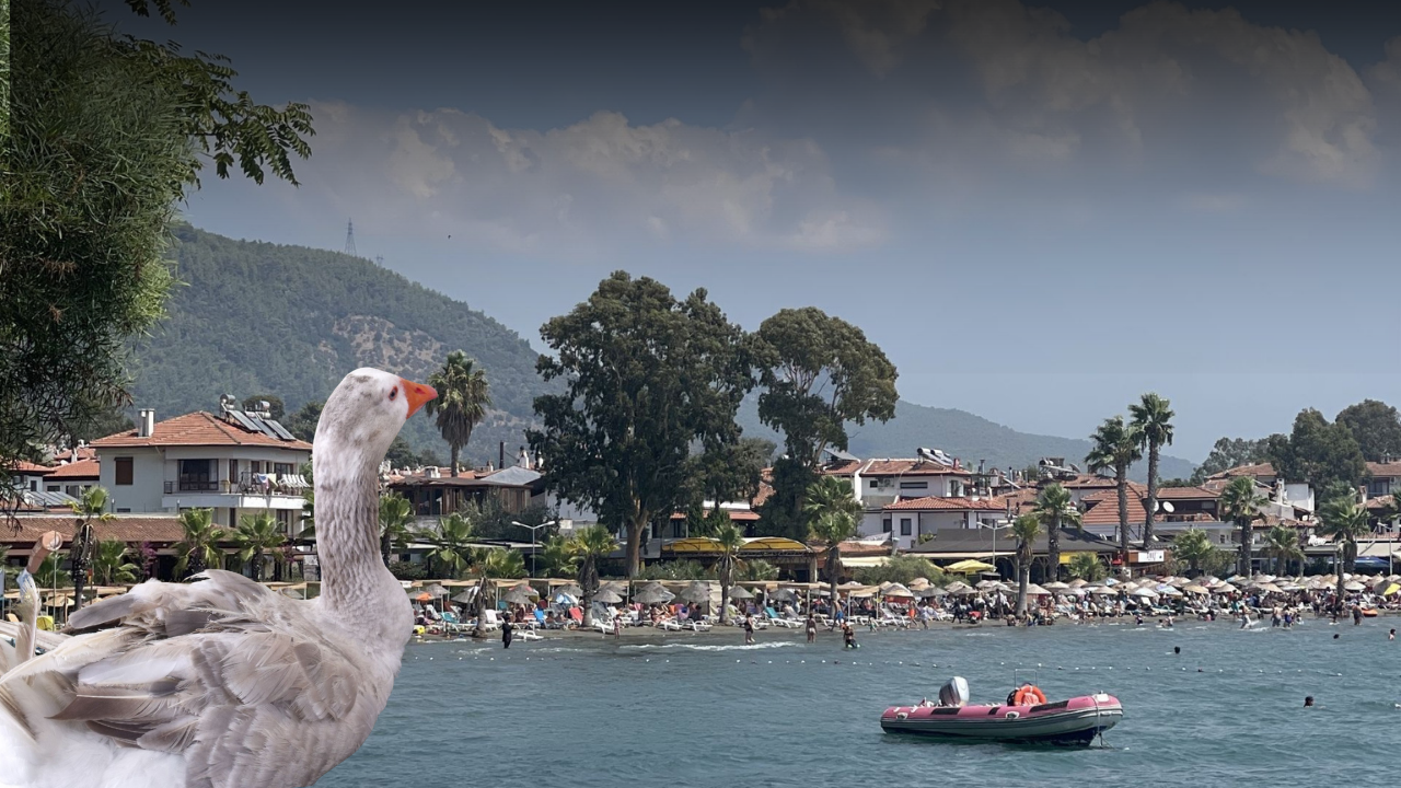 Gökova Körfezi'nin sakin kaçamağı: Akyaka
