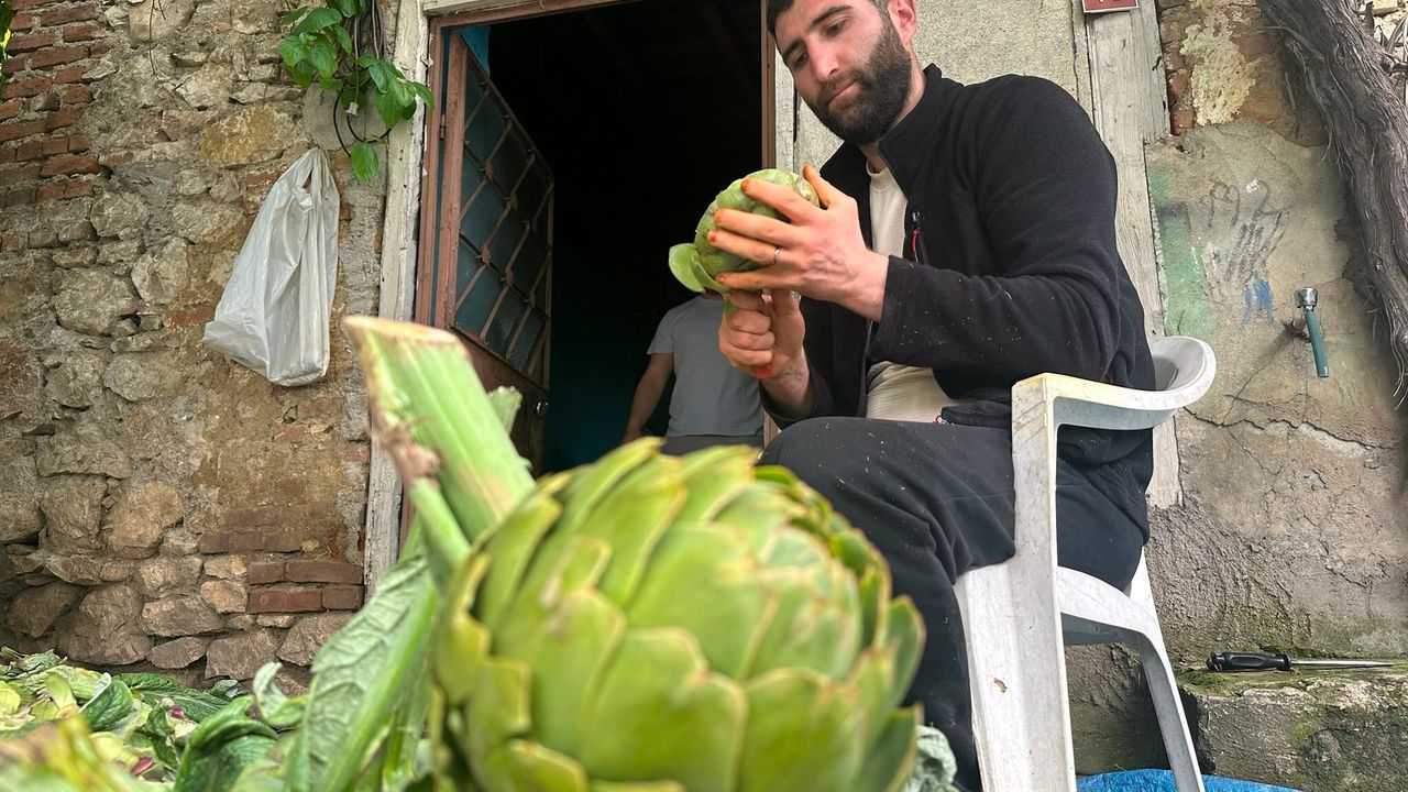 Günde bin enginar soyuyor, ayda 240 bin kazanıyor
