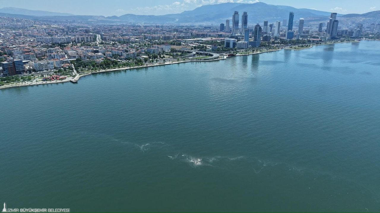 İzmir Körfezi’nde 7 ayda 14’üncü kirlilik vakası! Belediye'den yetkililere çağrı