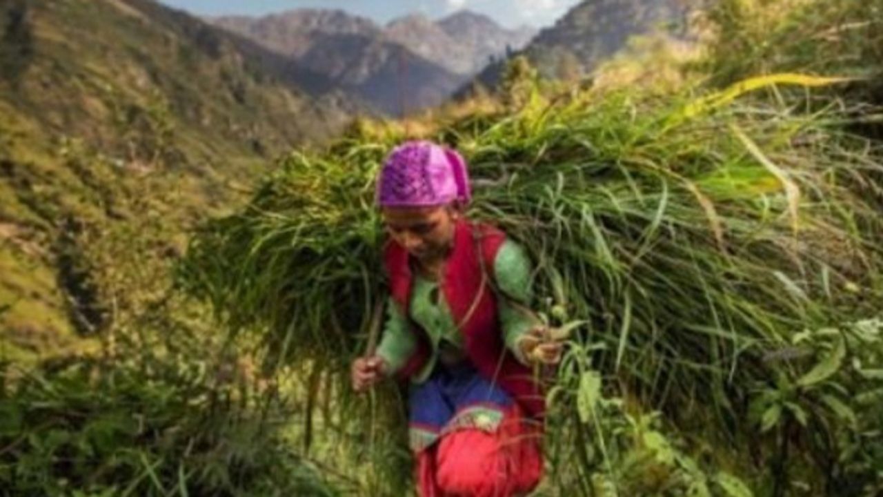İklim krizi kadınları, kadınlar iklim mücadelesini etkiliyor