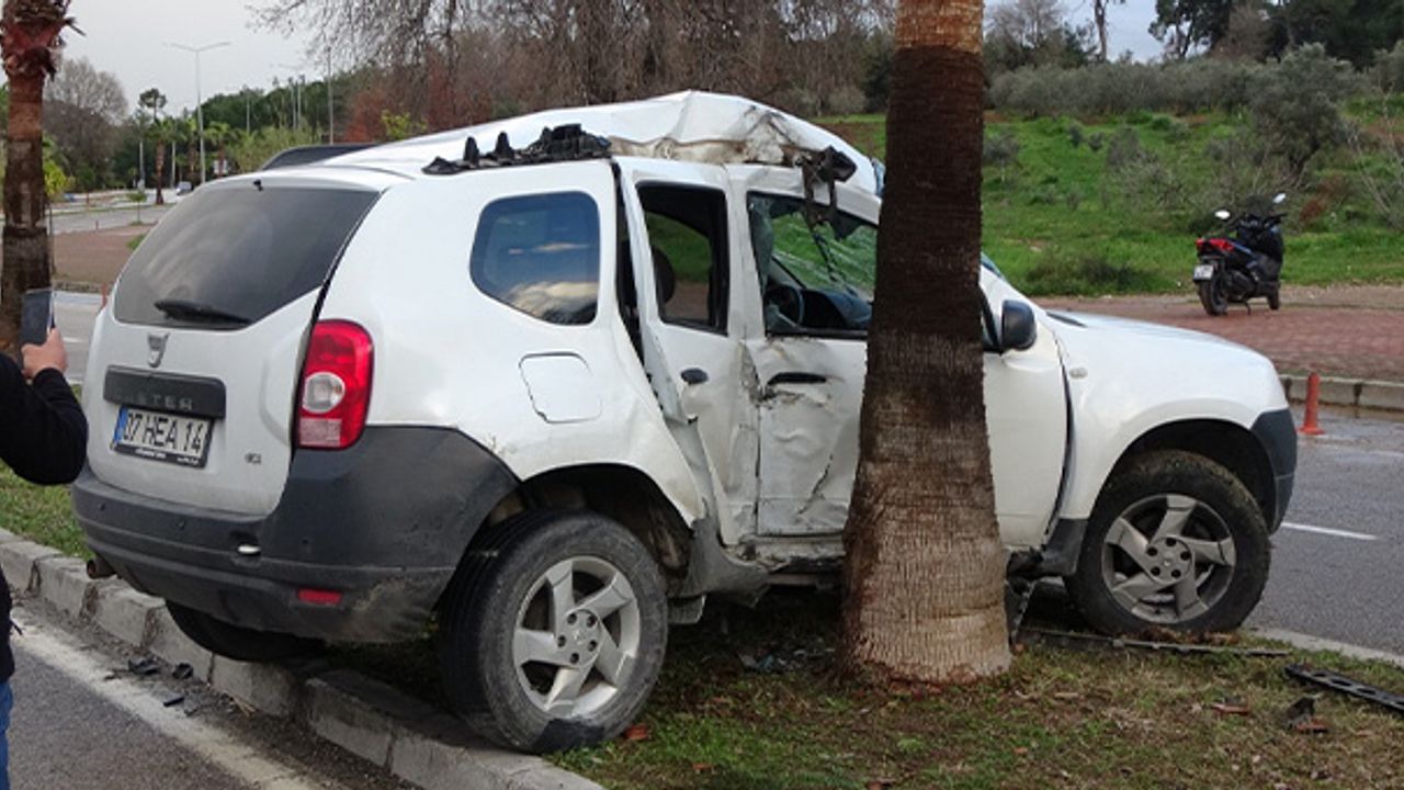 Otomobil palmiyeye çarptı, sürücü yaralandı