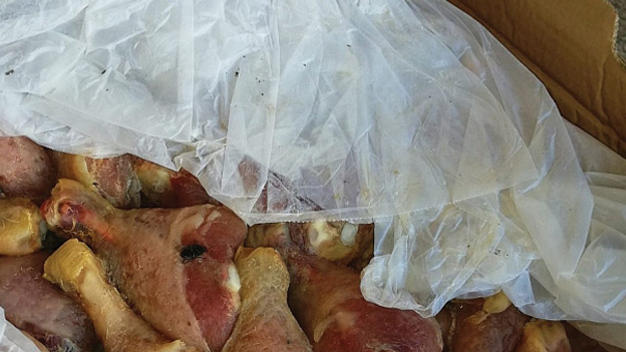 500 kilogram bozuk tavuk eti ele geçirildi