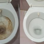 Tuvaletler neden sürekli sararıyor? Ne kadar temizleseniz de geçmiyorsa sebebi bu olabilir
