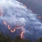 Kazdağları yangınında flaş gelişme! Şüpheli tutuklandı