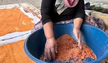 Kışlık tarhana hazırlayanlar dikkat! Ustaların tarifiyle böceklenme ve küflenme derdine son: Böyle hazırla, afiyetle ye