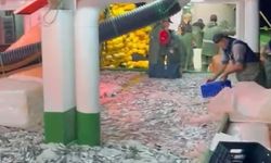 Gırgır teknesi Bozcaada açıklarında 75 ton sardalya yakaladı