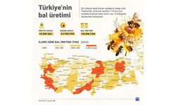 Türkiye Arıcılık Haritası güncellendi