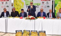 1. Dicle Bağ Bozumu Festivali Vali Su’nun katılımıyla başladı