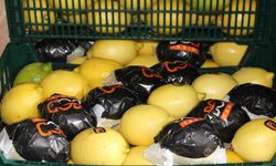 Limon üreticide 3 lira 50 kuruş, markette 16 lira 73 kuruş!