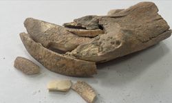 Apemeia Antik Kenti'nde büyük bir kedi türüne ait çene kemiği parçası bulundu