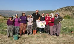 Atanamadığı için çok mutlu, turşu fabrikası kuracak