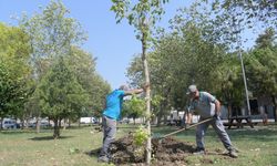 Bornova’da park yenileme hamlesi