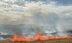 Elazığ’da korkutan anız yangını