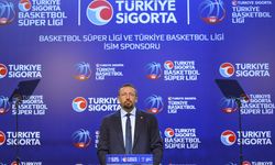 Hidayet Türkoğlu'ndan Larkin, Wilbekin ve Cedi Osman açıklaması