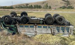 Kamyonun devrilmesiyle 13 ton mısır silaji ziyan oldu