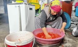 Kış hazırlığı yapan kadınların salça mesaisi başladı