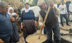 Mardin'de bağ bozumu başladı