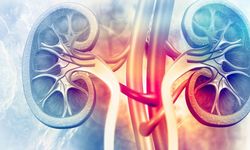 Renal arter stenozu nedir? Belirti, tanı ve tedavileri…