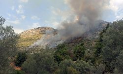 Seydikemer'deki yangından iyi haber! Kontrol altına alındı