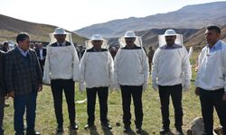 Siirt'te 2 bin 47 rakımlı Çemikare Yaylası'nda bal hasadı yapıldı