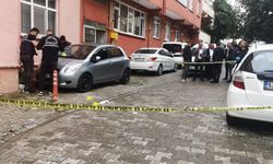 Sinop'ta eski koca dehşeti: Karısını vurdu, intihar etti