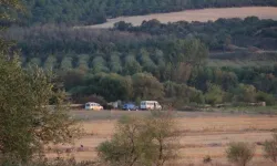 Tarlada ölü bulunan 10 yaşındaki Mehmet'in ölüm nedeni belli oldu!