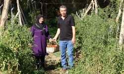 Yozgatlı çift, sağlıklı nesiller için ata tohumu üretiyor