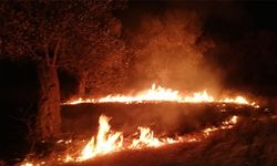 Zeytinlik alandaki örtü yangını söndürüldü