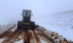 Bingöl’de 2 bin 500 rakımlı tepe beyaza büründü