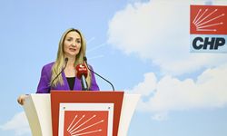 CHP'li Nazlıaka'dan "Kadına Yönelik Şiddete Karşı Uluslararası Mücadele Günü" açıklaması