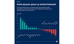 Emtia piyasası geçen ay yönünü bulamadı