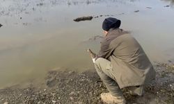 Göç yorgunu ördek, tedavi sonrası tekrar doğaya salındı