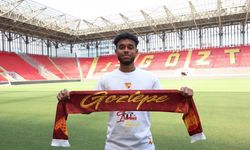 Göztepe'de Palmer bekleneni vermiyor