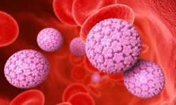 HPV Virüsü nedir? HPV Aşısı neden önemli?