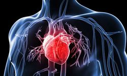 Kalp sağlığını etkileyen bir durum: Mitral Kapak Yetmezliği!